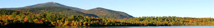 search for properties for sale in the adirondacks